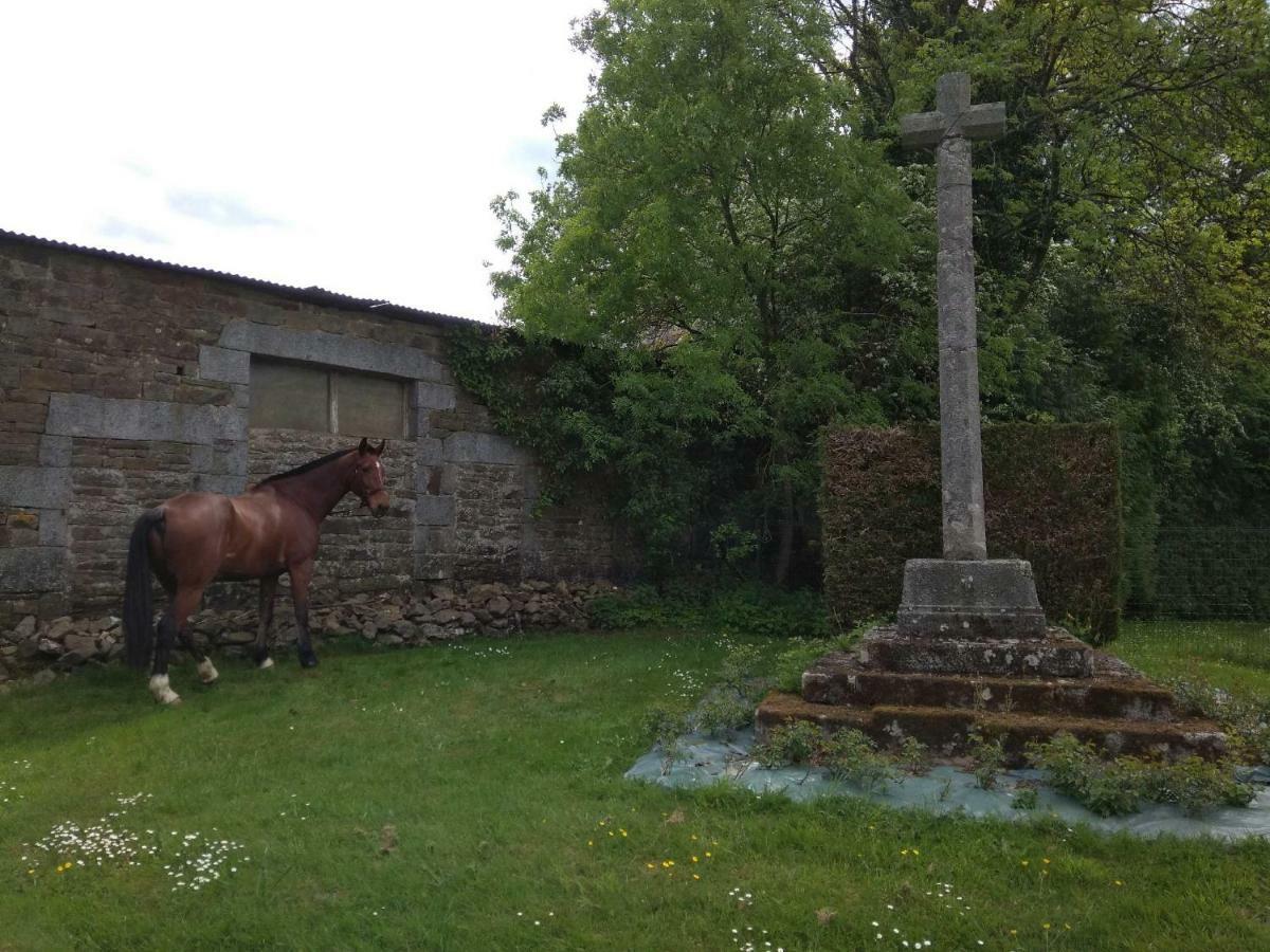 Bed and Breakfast Haras de La Croix d'Argent Saint-Sauveur-de-Carrouges Exterior foto